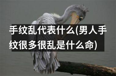 手纹乱代表什么(男人手纹很多很乱是什么命)