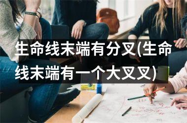 <h3>生命线末端有分叉(生命线末端有一个大叉叉)