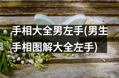 <h3>手相大全男左手(男生手相图解大全左手)
