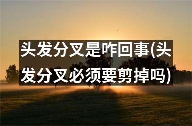 <h3>头发分叉是咋回事(头发分叉必须要剪掉吗)