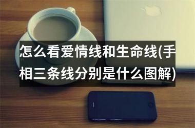 <h3>怎么看爱情线和生命线(手相三条线分别是什么图解)