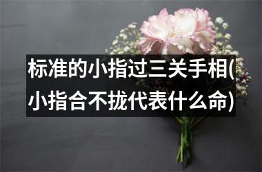 <h3>标准的小指过三关手相(小指合不拢代表什么命)
