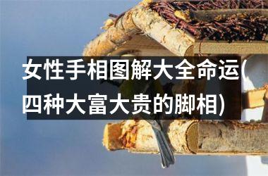 女性手相图解大全命运(四种大富大贵的脚相)