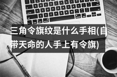<h3>三角令旗纹是什么手相(自带天命的人手上有令旗)