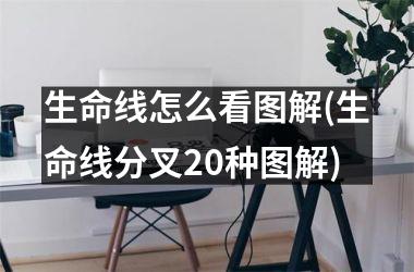 <h3>生命线怎么看图解(生命线分叉20种图解)