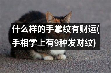 什么样的手掌纹有财运(手相学上有9种发财纹)