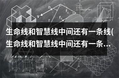 <h3>生命线和智慧线中间还有一条线(生命线和智慧线中间还有一条短的线)
