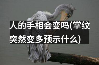 人的手相会变吗(掌纹突然变多预示什么)