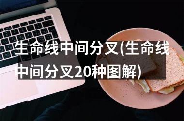 <h3>生命线中间分叉(生命线中间分叉20种图解)