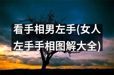 看手相男左手(女人左手手相图解大全)