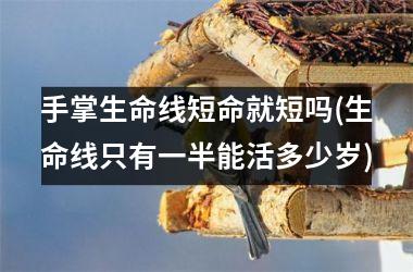 手掌生命线短命就短吗(生命线只有一半能活多少岁)