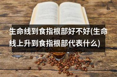 <h3>生命线到食指根部好不好(生命线上升到食指根部代表什么)