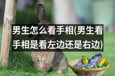 男生怎么看手相(男生看手相是看左边还是右边)