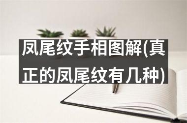 凤尾纹手相图解(真正的凤尾纹有几种)