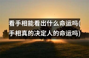 <h3>看手相能看出什么命运吗(手相真的决定人的命运吗)