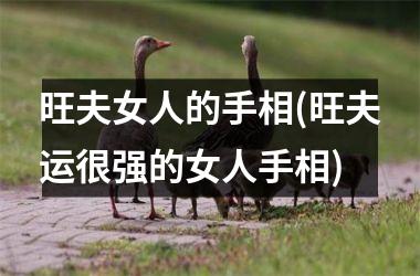 旺夫女人的手相(旺夫运很强的女人手相)