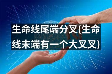 <h3>生命线尾端分叉(生命线末端有一个大叉叉)