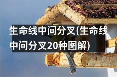 <h3>生命线中间分叉(生命线中间分叉20种图解)