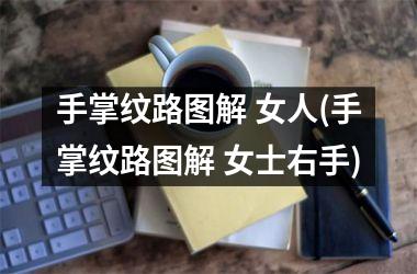 <h3>手掌纹路图解 女人(手掌纹路图解 女士右手)