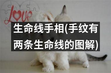 生命线手相(手纹有两条生命线的图解)
