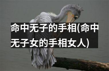 命中无子的手相(命中无子女的手相女人)