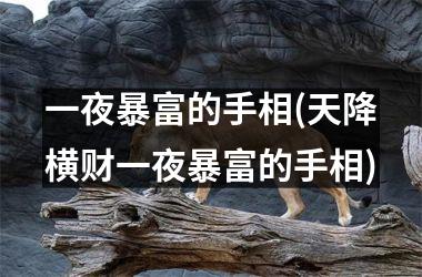 <h3>一夜暴富的手相(天降横财一夜暴富的手相)