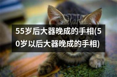 <h3>55岁后大器晚成的手相(50岁以后大器晚成的手相)