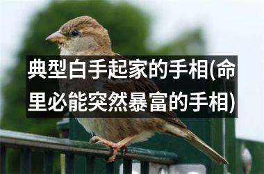 <h3>典型白手起家的手相(命里必能突然暴富的手相)