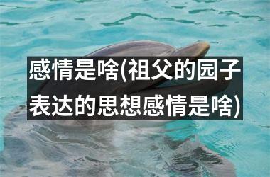 感情是啥(祖父的园子表达的思想感情是啥)