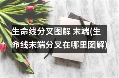 生命线分叉图解 末端(生命线末端分叉在哪里图解)