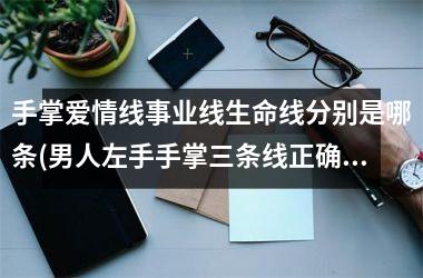 手掌爱情线事业线生命线分别是哪条(男人左手手掌三条线正确图解)