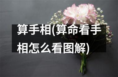 算手相(算命看手相怎么看图解)