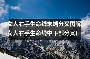 <h3>女人右手生命线末端分叉图解(女人右手生命线中下部分叉)