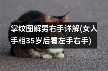 <h3>掌纹图解男右手详解(女人手相35岁后看左手右手)