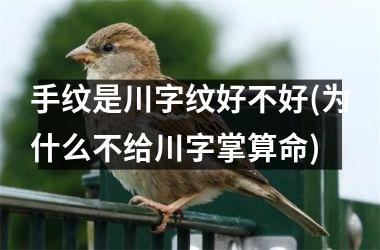 <h3>手纹是川字纹好不好(为什么不给川字掌算命)
