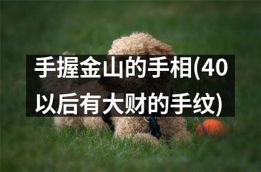 手握金山的手相(40以后有大财的手纹)