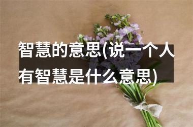 <h3>智慧的意思(说一个人有智慧是什么意思)