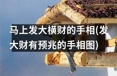 马上发大横财的手相(发大财有预兆的手相图)