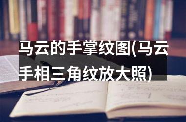 <h3>马云的手掌纹图(马云手相三角纹放大照)