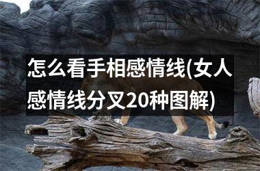 <h3>怎么看手相感情线(女人感情线分叉20种图解)