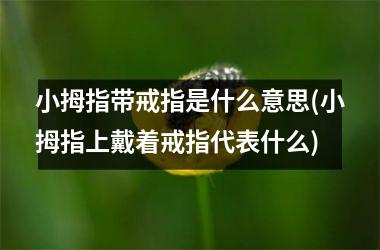 小拇指带戒指是什么意思(小拇指上戴着戒指代表什么)