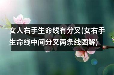 <h3>女人右手生命线有分叉(女右手生命线中间分叉两条线图解)