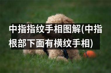 <h3>中指指纹手相图解(中指根部下面有横纹手相)