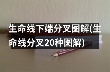 <h3>生命线下端分叉图解(生命线分叉20种图解)