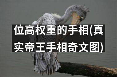 <h3>位高权重的手相(真实帝王手相奇文图)