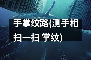 <h3>手掌纹路(测手相扫一扫 掌纹)