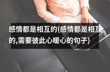 <h3>感情都是相互的(感情都是相互的,需要彼此心暖心的句子)