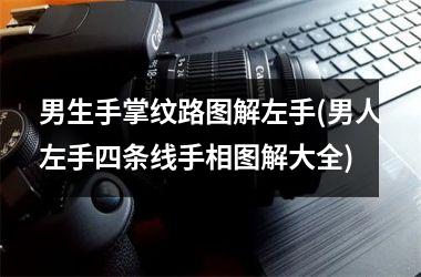 <h3>男生手掌纹路图解左手(男人左手四条线手相图解大全)