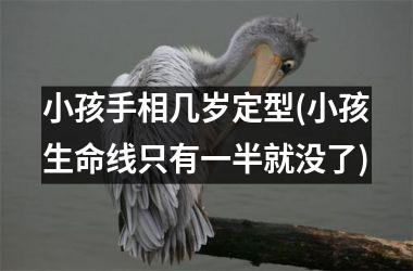 <h3>小孩手相几岁定型(小孩生命线只有一半就没了)