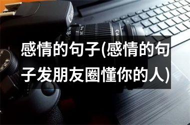 感情的句子(感情的句子发朋友圈懂你的人)